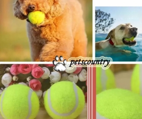 Мяч теннисный для животных